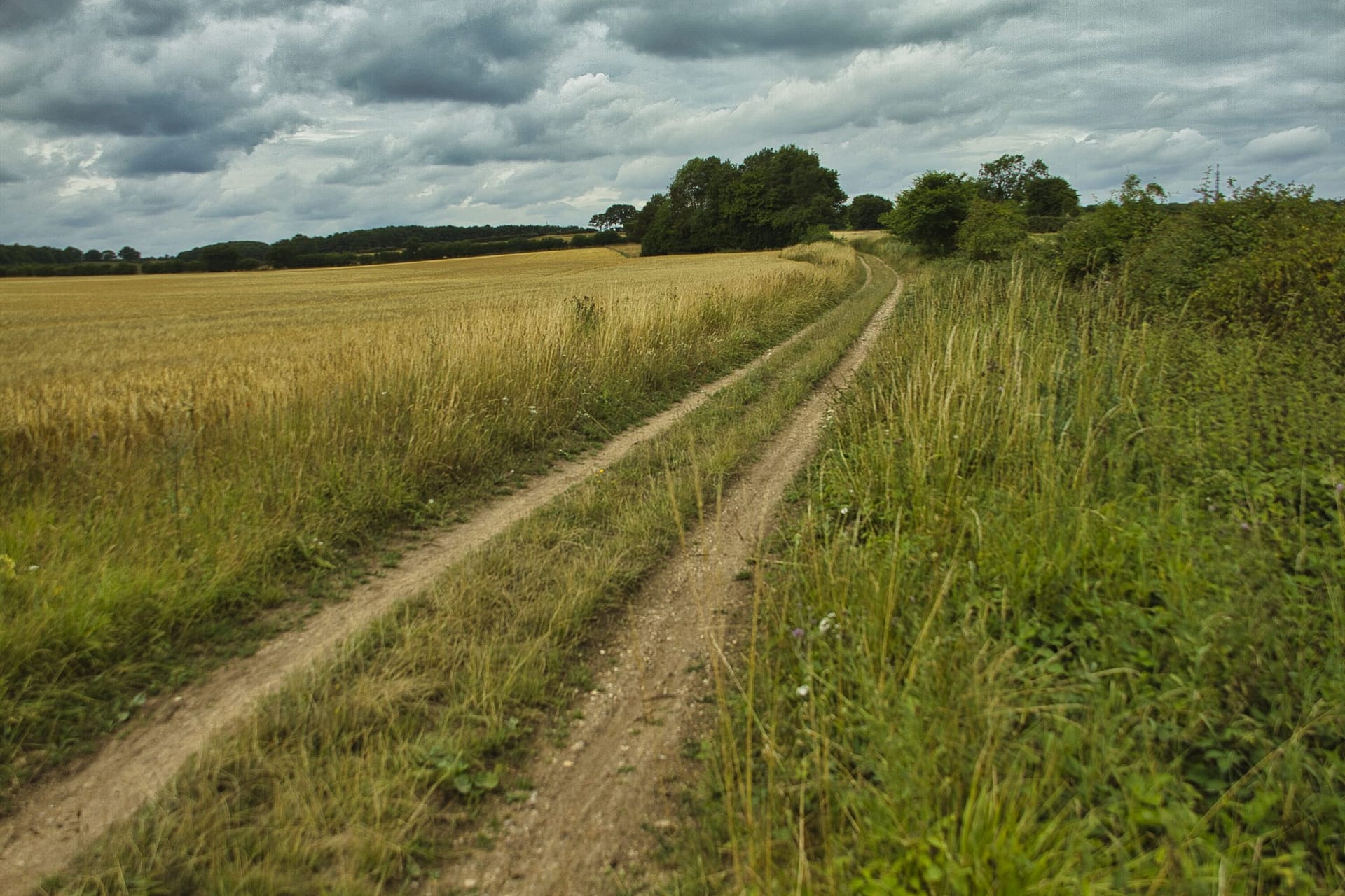 Pedal Norfolk Untamed - TPR EVENTS